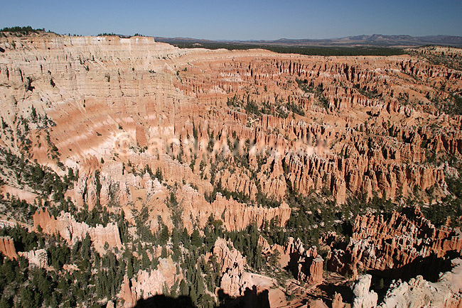 Bryce Canyon National Park. Eroderede sandstensformationer, hoodoos, i Bryce Amphitheater i Bryce Canyon National Park; ; Bryce Canyon National Park / Wyoming; USA; Nord Amerika; ; Bjerge, nationalparker, floder, sandsten, erosion