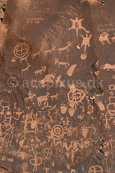 Petroglypher. Petroglypher ved Newspaper Rock udenfor Canyonlands National Park; ; Utah; USA; Nord Amerika; ; Petroglyphs, petroglypher, skriftstegn, historie fort�lling, indianere, indiansk, figurer