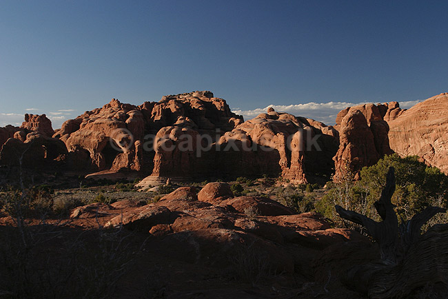 Arches National Park. Elephant Butte i Arches National Park; ; Arches National Park / Utah; USA; Nord Amerika; ; Sandsten, erosion, nationalparker, landskaber