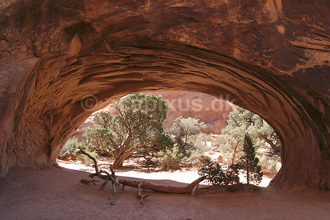 Arches National Park. Navajo Arch i Arches National Park; ; Arches National Park / Utah; USA; Nord Amerika; ; Sandsten, erosion, nationalparker, landskaber