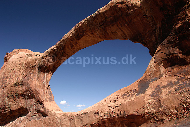Arches National Park. Double O Arch i Arches National Park; ; Arches National Park / Utah; USA; Nord Amerika; ; Sandsten, erosion, nationalparker, landskaber