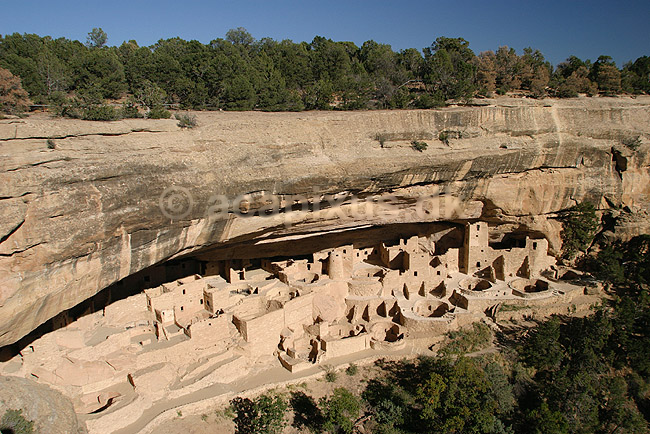 Cliff Palace. Cliff Palace i Mesa Verde National Park. En af Anasazi indianernes efterladte byer.; ; Mesa Verde National Park / Colorado; USA; Nord Amerika; ; Ancestral pueblo indianere, Ancestral puebloans