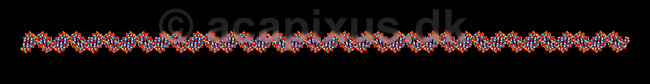 DNA. Deoxyribo Nucleic Acid, DNA molekyle model; ; ; ; ; ; genetik, gener, arvemateriale, genetisk, GMO, videnskab, gensplejsning