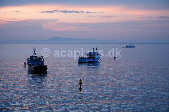 Fiskerbåde. Fiskerbåde i solnedgang ligger fortøjet ud for Sorrento i Italien; ; Sorrento; Italien; Europa; ; fiskeri, havfiskeri, solnedgange