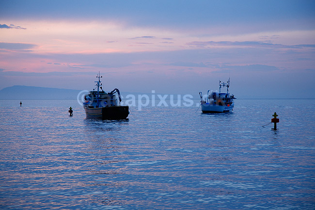 Fiskerbåde. Fiskerbåde i solnedgang ligger fortøjet ud for Sorrento i Italien; ; Sorrento; Italien; Europa; ; fiskeri, havfiskeri, solnedgange