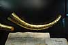 Guldhorn. Kopier Guldhornene p� National Museet  National Museet / K�benhavn    Nationalklenodier, klenodier, kulturskatte, skatte, sev�rdigheder, historie