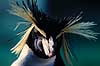 Springpingvin. Spring pingvin ( Scan af KOL513 ) Eudyptes crestatus, Spheniscidae K�benhavn ZOO   fugle Pingviner