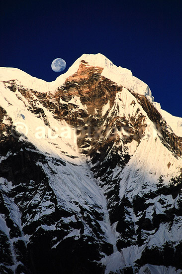 Annapurna South. M�ne over Annapurna South (7219) set fra Annapurna Base Camp ( Scan af KOL1236 ) ; ; Annapurna Base Camp / Himalaya bjergene; Nepal; Asien; ; Bjerge, sne, m�nen