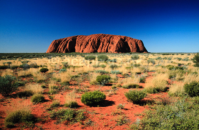 Ayers Rock. Ayers Rock set fra nordvest, Sunset Point. Uluru = Ayers Rock, Kata Tjuta = The Olgas ( Scan af KOL2753 ) ; ; Uluru - Kata Tjuta NP / Northern Territory; Australien; Australien; ; Geologi, erosion