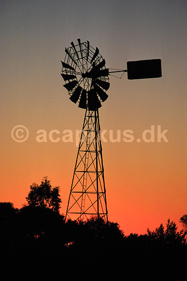 Vindm�lle i solnedgang. Vindm�lle i solnedgang ved Erlunda n�r Ayers Rock, Australien ( Scan af KOL2834 ) ; ; Northern Territory; Australien; Australien; ; Energi, CO2, kuldioxid, drivhuseffekt, alternativ energi, vindm�ller