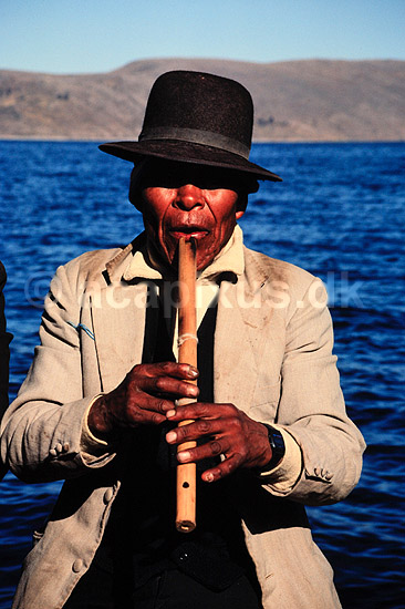 Fl�jtespiller. Fl�jtespillende mand p� b�d p� Titicaca s�en ( Scan af KOL2036 ) ; ; Titicaca S�en; Peru; Sydamerika; ; Fl�jte, musik, hat, hatte