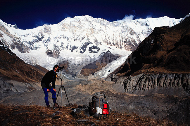 Annapurna Sanctuary. Trekker i Annapurna Sanctuary i 4000 meters h�jde, Nepal ( Scan af KOL1468 ) ; ; Himalaya bjergene; Nepal; Asien; ; Trek, trekking, bjergvandring, bjergvandrere