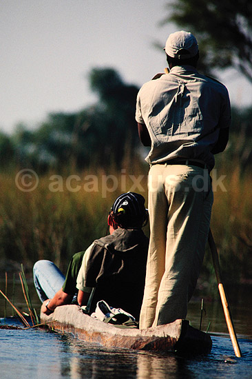 Safari i mokoro. Safari i mokoro, �koturisme Okavango deltaet, Botswana. Mokoro = dugout-canoe ( Scan af KOL3619 ) ; ; Okavango delta; Botswana; Afrika; ; Turisme, safari