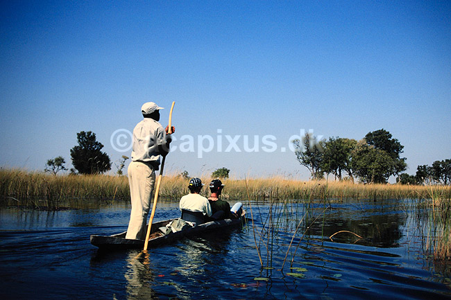 Safari i mokoro. Safari i mokoro, �koturisme Okavango deltaet, Botswana. Mokoro = dugout-canoe ( Scan af KOL3615 ) ; ; Okavango delta; Botswana; Afrika; ; Turisme, safari