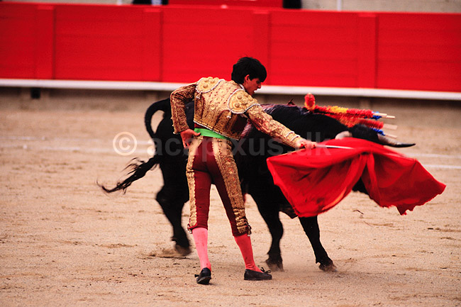 Tyrefægtning. Matadoren udfører en manøvre med den blodrøde muleta kappe ( Scan af KOL612 ) ; ; Plaza de Toros Monumental / Barcelona; Spanien; ; ; Matador, tyrefægter