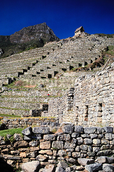 Machu Picchu. Machu Picchu - Terrasseformede marker ( Scan af KOL1953 ) ; ; Machu Picchu; Peru; Sydamerika; ; Inca, inka, inkaer, incaer