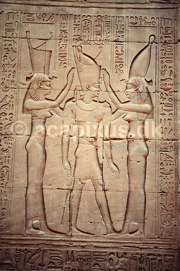 Pharao Ptolemy. Horus Tempel - Relief visende Pharao Ptolemy. Horus tempel er dediceret Horus ( Scan af KOL131 ) ; ; Edfu; Egypten; Afrika; ; Falkegud