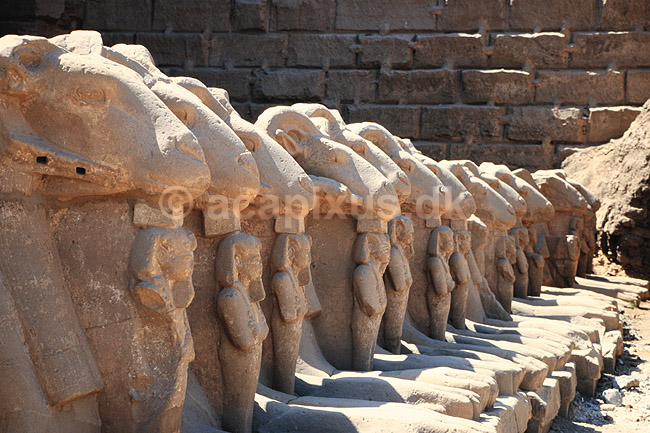 Karnak Tempel. Karnak Tempel - Sphinxer med v�dderhoved ( Scan af KOL7787 ) ; ; Luxor; Egypten; Afrika; ; 