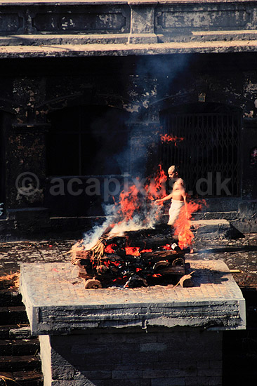 Kremation. Kremation, Pashupatinath templet Pashupatinath, Kathmandu ( Scan af KOL1345 ) ; ; Kathmandu; Nepal; Asien; ; Begravelse, ligbr�nding, lig