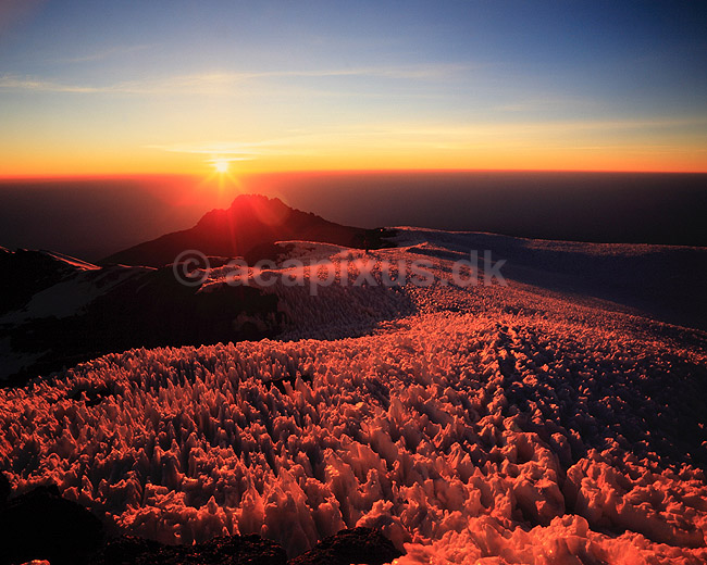 Mt. Kilimanjaro. Mt. Kilimanjaro, Kibo (5895 m.) Solopgangen over gletchere og sne ( Scan af KOL5795 ); ; Mt. Kilimanjaro NP; Tanzania; Afrika; ; bjerge, bjerglandskaber, gletcher, gletchere, glaciologi, afsmeltning, global opvarmning, vulkan, vulkaner