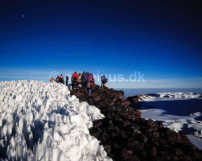 Mt. Kilimanjaro. Bjergbestigere p� Mt Kilimanjaro ved toppen ved Uhuru Peak i 5895 m. ( Scan af KOL5837 ); ; Mt. Kilimanjaro NP; Tanzania; Afrika; ; Bjergbestigning, safari, turisme, vandreture, trekking