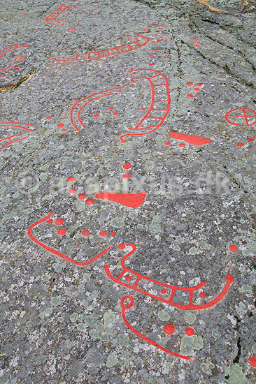 Helleristninger. Helleristning af vikingeskib ved Madsebakke p� Bornholm. Madsebakke helleristningsfelt er Danmarks st�rste med fjorten skibsbilleder, fem hjulkors, fem fodfigurer og mange sk�ltegn; ; Madsebakke / Allinge / Bornholm; Danmark; ; ; Vikinger, vikingetiden, kommunikation, broncealder
