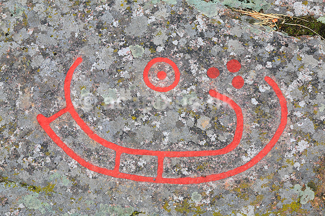 Helleristninger. Helleristning af vikingeskib ved Madsebakke p� Bornholm. Madsebakke helleristningsfelt er Danmarks st�rste med fjorten skibsbilleder, fem hjulkors, fem fodfigurer og mange sk�ltegn; ; Madsebakke / Allinge / Bornholm; Danmark; ; ; Vikinger, vikingetiden, kommunikation, broncealder