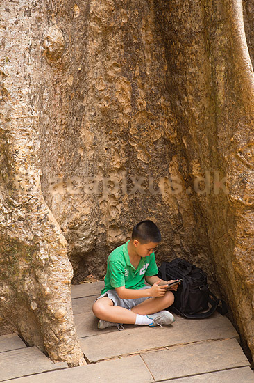 Ta Prohm / Angkor Wat. Dreng spiller iPad ved tr�r�dder i Ta Prohm templet i Angkor Archeological Park, World Heritage Site, bygget i 12e �rhundrede af Jayavarman VII; ; Angkor Archeological Park / Siem Reap; Cambodia; ; ; Angkor Wat, Templer, Khmer riget, computerspil, tablet, tablets