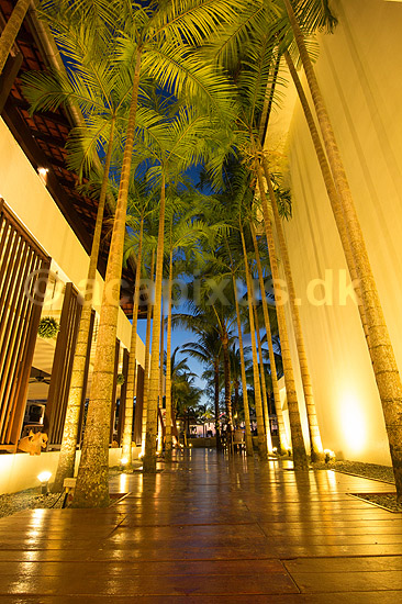 Hotel i Thailand. Passage med palmer i Hotel Briza Beach Resort Khao Lak ved Khao Lak i Thailand; ; ; Thailand; ; ; seværdigheder, rejser, turisme, hoteller