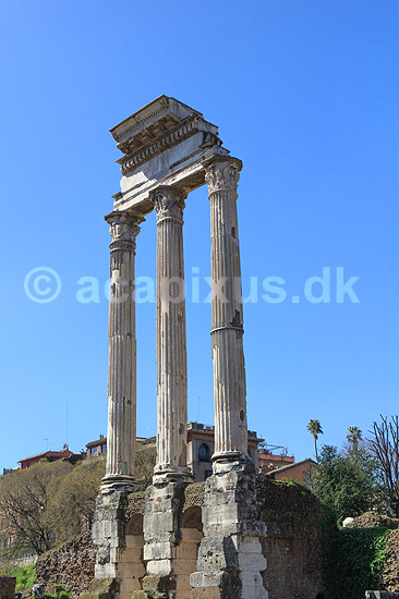 Corinthiske søjler. Tempio dei Dioscuri - Dioscuri templet; ; Forum Romanum / Rom; Italien; ; Seværdigheder; romerriget, turistseværdigheder, templer