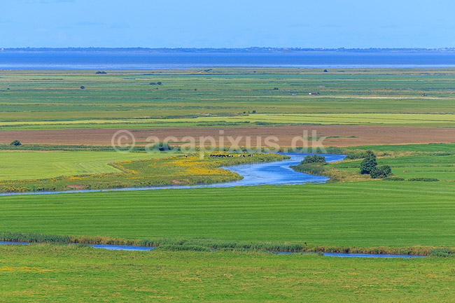 Marsklandskab. Ribe � snor sig gennem masken ved Ribe; ; Ribe; Danmark; ; ; 