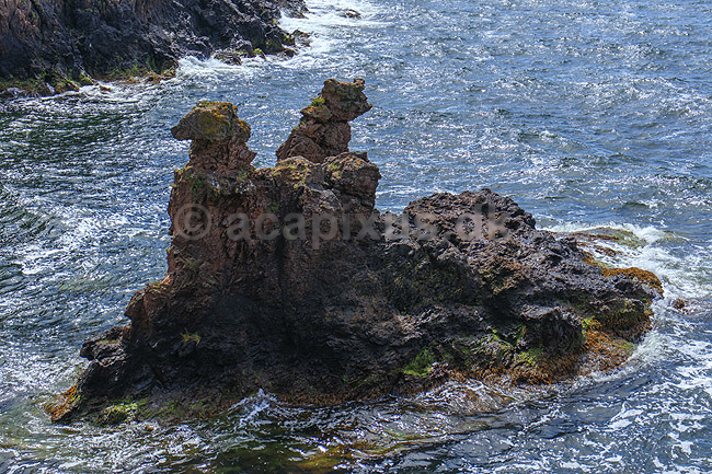 L�vehovederne. L�vehovederne nedenfor Hammerhus Slotsruin; ; Bornholm; Danmark; ; Sev�rdigheder; Turistattraktion