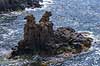 L�vehovederne. L�vehovederne nedenfor Hammerhus Slotsruin  Bornholm Danmark  Sev�rdigheder Turistattraktion