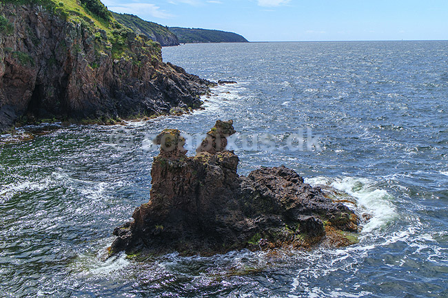 L�vehovederne. L�vehovederne nedenfor Hammerhus Slotsruin; ; Bornholm; Danmark; ; Sev�rdigheder; Turistattraktion