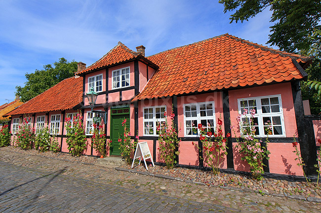 R�nne. Erichsens G�rd, gamelt bindingsv�rkshus med stokroser i R�nne; ; R�nne / Bornholm; Danmark; ; ; 