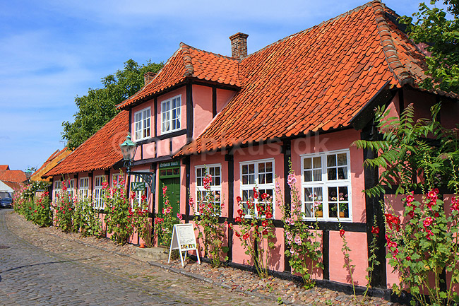 R�nne. Erichsens G�rd, gamelt bindingsv�rkshus med stokroser i R�nne; ; R�nne / Bornholm; Danmark; ; ; 