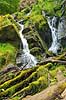 D�ndalsfaldet. Vandfald p�  D�ndale�en med mosbegroede tr�stammer i D�ndalen. Danmarks st�rste vandfald p� ca 20 meter  D�ndalen / Bornholm Danmark   vandl�b, �er, spr�kkedale, Natura 2000
