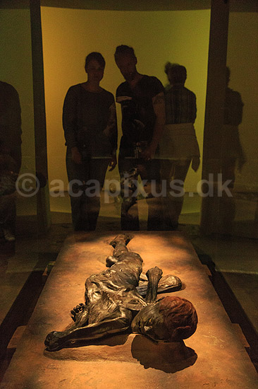 Grauballemanden. Grauballe manden, mosefund fra Nebel udstillet p� Moesg�rd Museeum; ; Moesg�rd Museum / �rhus; Danmark; ; Sev�rdigheder; R�de Kristian, moselig, museer, Grauballemand