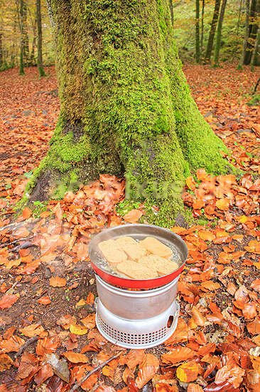 Stegning af torskerogn. Frokosten steges p� Trangia koges�t i naturen. Vandretur p� S�der�sen; ; Nationalpark S�der�sen; Sverige; ; ; Efter�r, l�vfald, tr�er, skove, spritkoger, madlavning, frokost, skovbund, efter�r, l�vfald, efter�rsblade