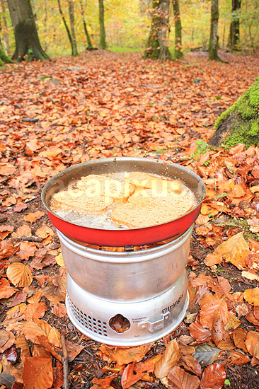 Stegning af torskerogn. Frokosten steges p� Trangia koges�t i naturen. Vandretur p� S�der�sen; ; Nationalpark S�der�sen; Sverige; ; ; Efter�r, l�vfald, tr�er, skove, spritkoger, madlavning, frokost, skovbund, efter�r, l�vfald, efter�rsblade