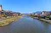Kyoto. Kirseb�rtr�er i blomst langs Kamo River i Kyoto Prunus spec. Rosaceae Kyoto Japan   Kirseb�rblomstring, Prydkirseb�r, blomster, Kansai, japansk, for�r, sakura