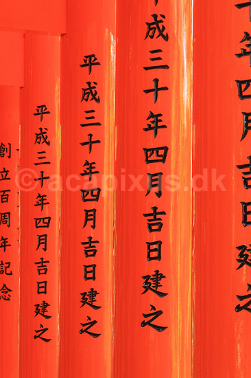 Fushimi-Inari Taisha Shrine. Tunnel af torii ved det shintoistiske Fushimi-Inari Taisha Shrine; ; Fushimi-Inari Taisha Shrine / Kyoto; Japan; Asien; ; templer shintoisme orange