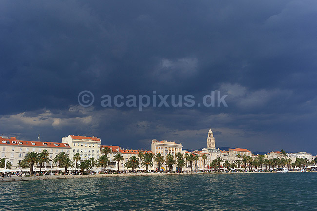 Split. Palmer langs havnepromendaen, Obala Hrvatskog narodnog preporoda, i Split; ; Split; Kroatien; ; ; Havn, havne, skyer, overskyet, turistm�l