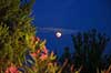 Blodm�ne. M�nen kort f�r total m�neform�rkelse den 27/7/2018 set i Kroatien  Jadrija / Sibenik Kroatien   