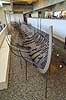 Vikingeskibsmuseet. Vikingeskibet Skuldelev 1 forrest, Skuldelev 2 bagerst tv og Skuldelev 6 bagerst th  Vikingeskibsmuseet / Roskilde Danmark   Vikinger, vikingeskibe, sejlads, tr�skibe, museum, museer, udstillinger