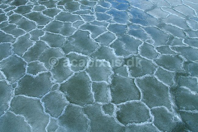 Isskosser. Isskosser er frosset sammen til m�nster i vikingeskibshavnen i Roskilde; ; Roskilde; Danmark; ; ; Vinter, frost, is, kulde, isbryder, m�nstre, havis