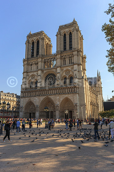 Notre Dame. Cathedrale Notre-Dame; ; Cath�drale Notre-Dame / Paris; Frankrig; ; ; Sev�rdigheder, kirke, kirker, kristendom, religion, katolsk, katolicisme, katolik, katolikker