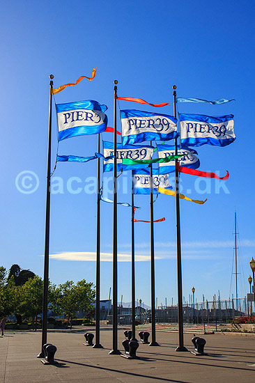 Fishermans Wharf. Fisherman's Wharf ( eller Pier 39 ) i San Francisco, USA; ; Fishermans Wharf / San Francisco / Californien; USA; ; ; Seværdigheder, turisme