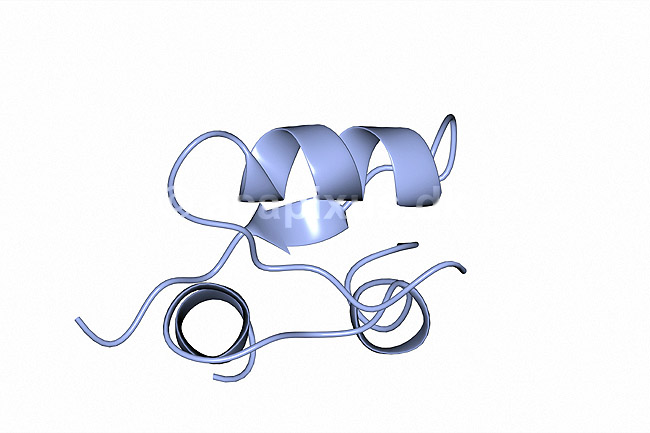 Insulin. Insulin molekyle model - hormon til behandling af sukkersyge eller diabetes mellitus. Insulin er et peptidhormon som regulerer kulhydraters metabolisme; ; ; ; ; ; videnskab biokemi