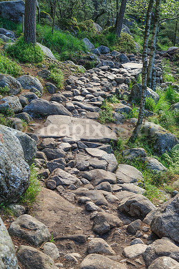 Vandresti. Sti i fjeldet p� vej imod Preikestolen n�r Stavanger i Norge; ; Preikestolen; Norge; ; ; Vandring, vandretur, fjeldvandring